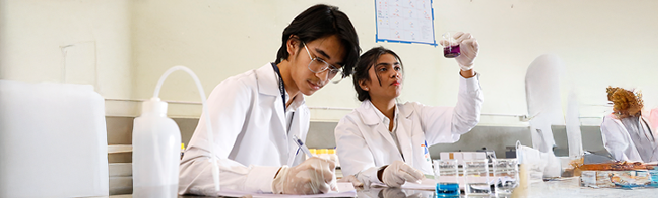 research-2
