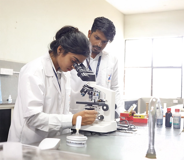 bachelor-occupational