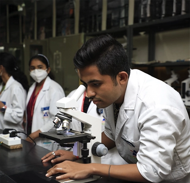 bachelor-occupational