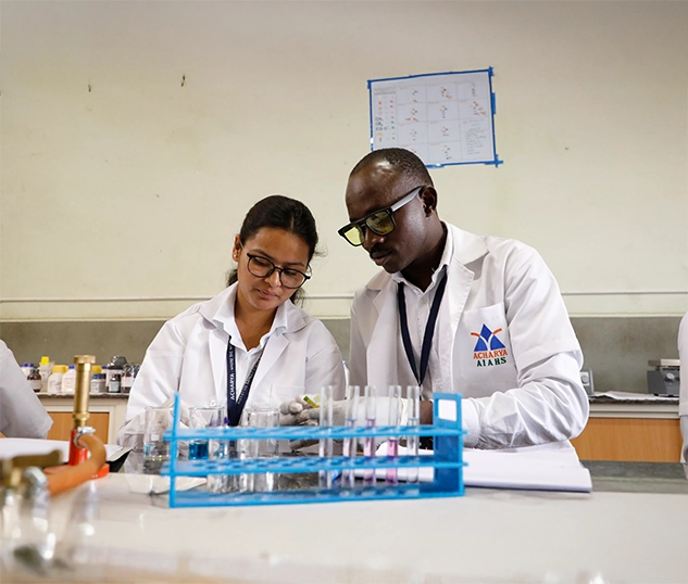 bachelor-occupational